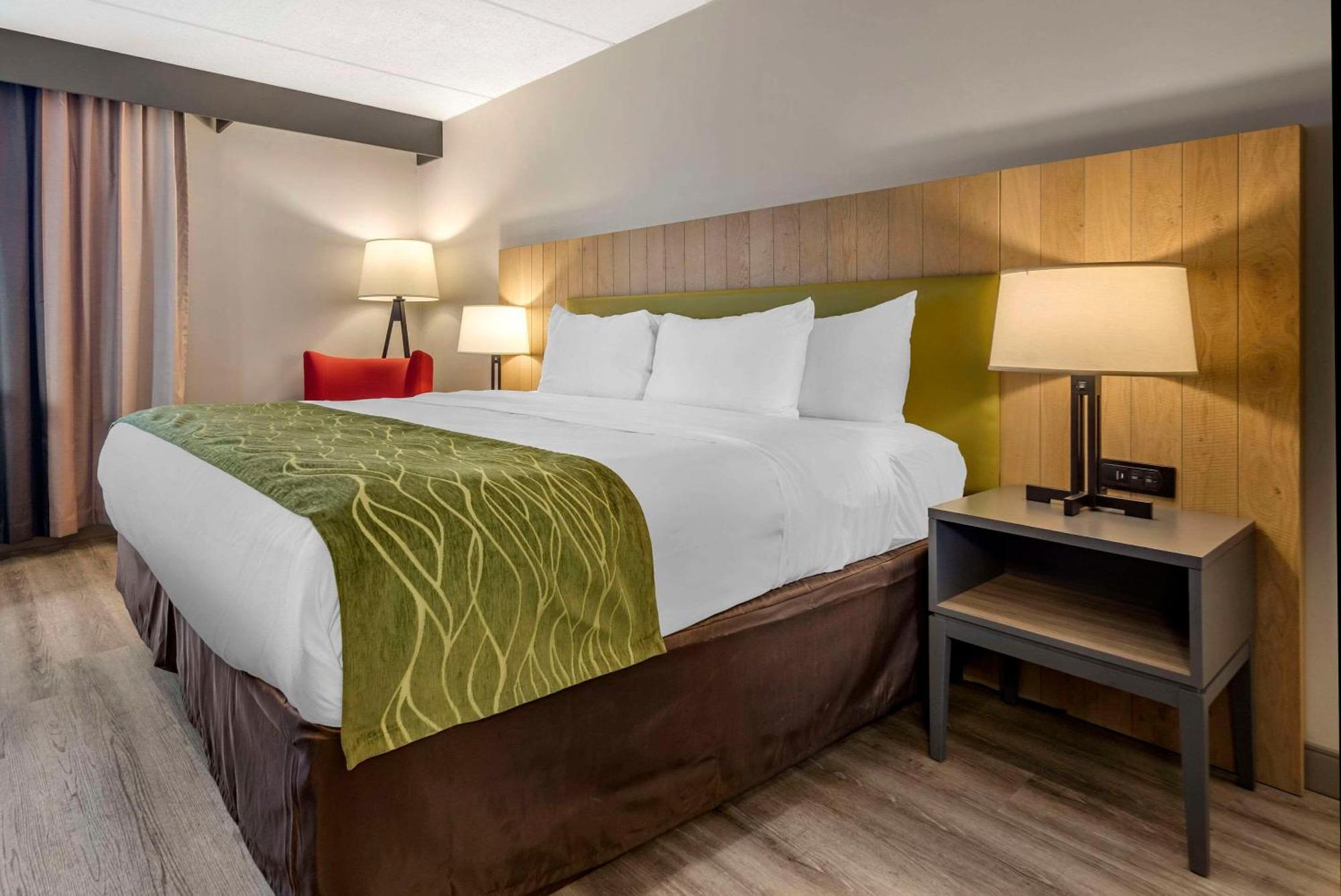 Comfort Inn & Suites Liverpool - Syracuse North Екстериор снимка